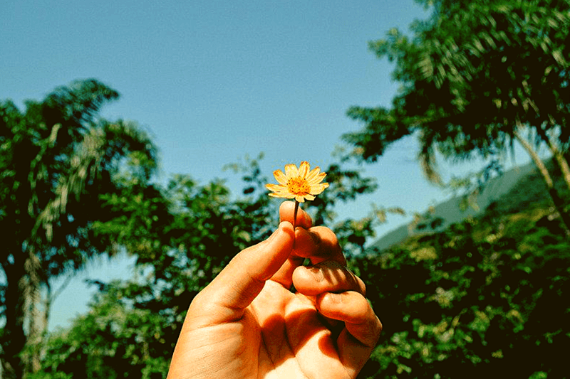 આશાનો ચમત્કાર – વિજય શાહ